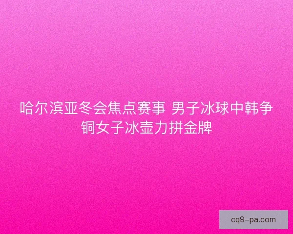 哈尔滨亚冬会焦点赛事 男子冰球中韩争铜女子冰壶力拼金牌